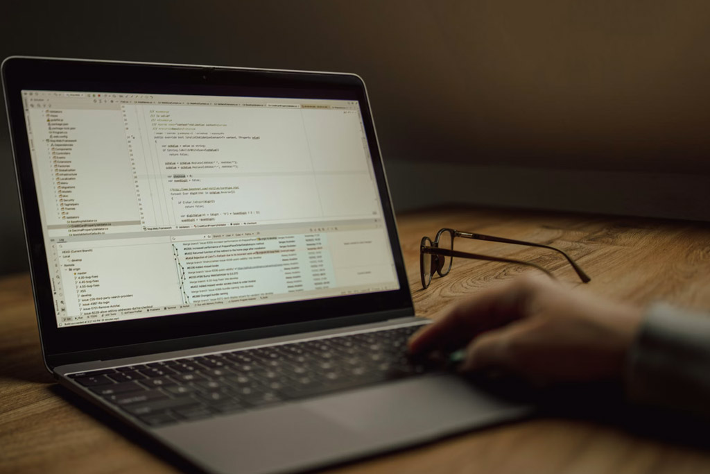 developer-typing-code-wordpress